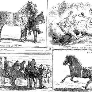 The Horse Show, Alexandra Park, London, 1873