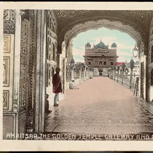 India / Amritsar / Temple