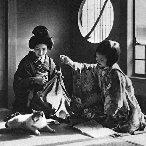 Japan - Woman and Young Girl Play with a Kitten