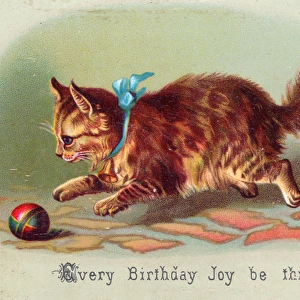 Kitten with ball on a birthday card