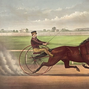 Mr. Bonners horse Joe Elliott, driven by J. Bowen: trotting