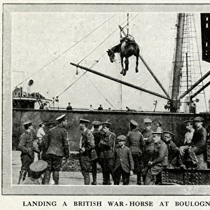 The Role of the horses in WWI 1914