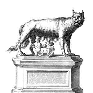 Romulus & Remus & Wolf