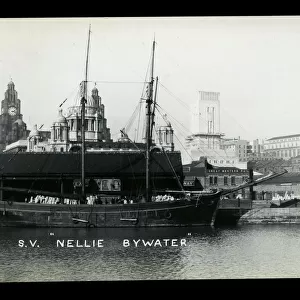 Sailing vessel Nellie Bywater