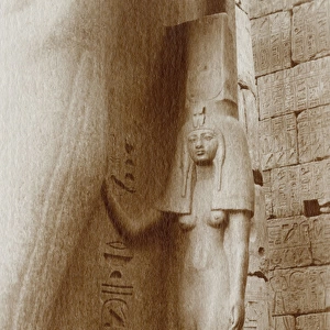 Statue of Queen Nefertari at the Luxor Temple, Egypt