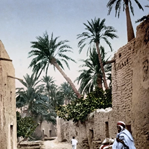 Street scene in Biskra, Algeria, circa 1890s