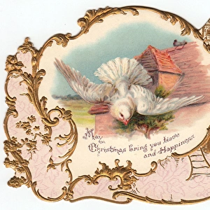 White dove on a Christmas card