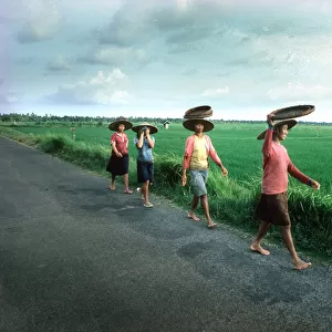 Women rice planters walk along a road to work in Bali
