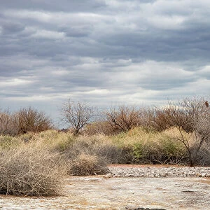 USA, Nevada, Las Vegas (on 2019 California Drought Expedition), Clark County Wetlands Park Date: 21-02-2019