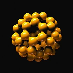 Buckminsterfullerene molecule C016 / 8361