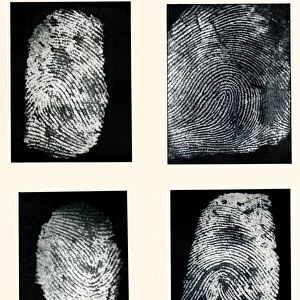 Fingerprints made visible with ink