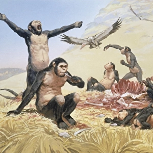 Homo habilis hunting, artwork C013 / 6549