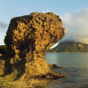 Eroded calcarenite rock (cemented coral sands) with Mount Lidgbird and Mount Gower by the lagoon with the worlds most southerly coral reef, on this 10km long volcanic island in the Tasman Sea, Lord Howe Island, UNESCO World Heritage Site