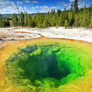 Morning Glory Pool and surrounds, Yellowstone National Park, UNESCO World Heritage Site, Wyoming, United States of America, North America