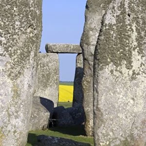The prehistoric standing stone circle of Stonehenge, dating from between 3000 and 2000BC, UNESCO World Heritage Site, Wiltshire, England, United Kingdom, Europe