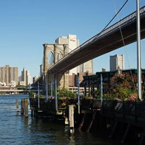 Bridges Collection: Brooklyn Bridge