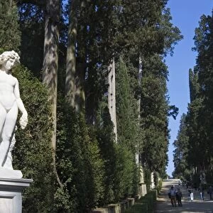Viottolone, Viottolone Avenue, Boboli Gardens, Florence, Tuscany, Italy, Europe