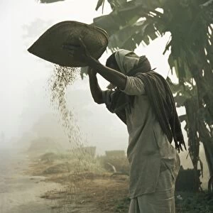 Woman sifting grain