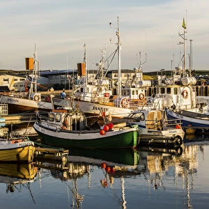 Husavik harbour, Iceland. boats ready for whale watching, sunset