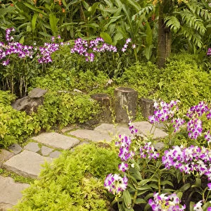 Orchid garden, Singapore Botanic Gardens, Singapore