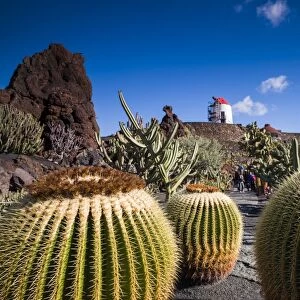 Spain, Canary Islands, Lanzarote, Guatiza, Jardin de Cactus, botanical park designed