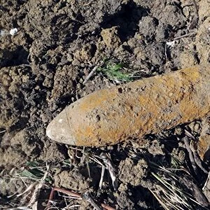 Iron Harvest, World War One high explosive shell, unexploded, dug up during tree extraction, Verdun Battlefield