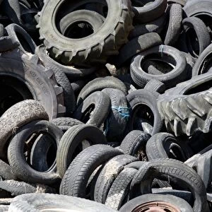 Rubber tyres used to hold sheeting down on silage clamp, England, june