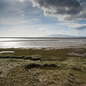 View of estuary habitat, Solway Firth, Caerlaverock National Nature Reserve, Ruthwell, Dumfries and Galloway, Scotland