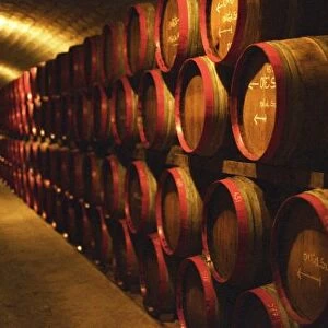 Barrels of Tokaj wine stacked in the Disznoko cellars. Disznoko means pigs head