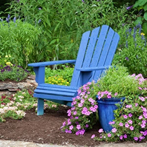 Flower garden with blue Adirondack chair, Butterfly Bushes, Peach & Purple Verbenas