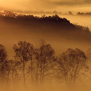 USA, Tennessee. Early morning fog in the Smoky Mountains