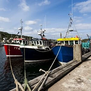 Fishing boats at Tarbert, Scotland