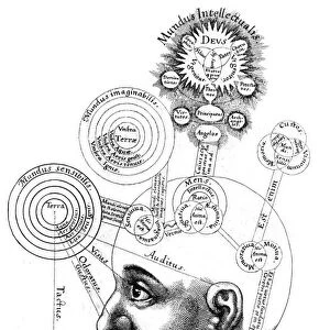 The Cabalistic analysis of the mind and the senses, attributing different functions