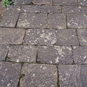 Natural flagstone path, close up
