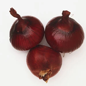 Three red Onions