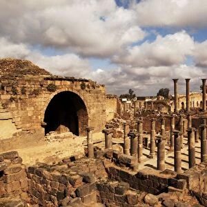Syria, Bosra, Ancient Bosra, ruins of South baths