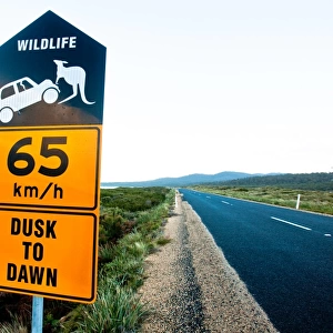 Warning sign for wildlife. Tasmania Australia