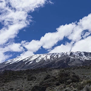View of Kibo peak from Pofu Buffalo Camp, Northern Circuit, Mount Kilimanjaro, Kilimanjaro Region, Tanzania