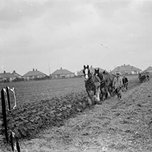 A farmer and his horse team plough a field at the back of houses in Eltham, London