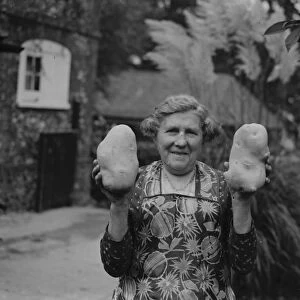 Giant potatoes for Mrs Palmer of Horton Kirby, Kent. 13 October 1937