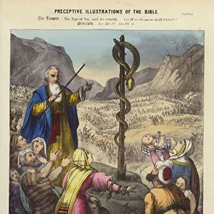 The Brazen Serpent (coloured engraving)