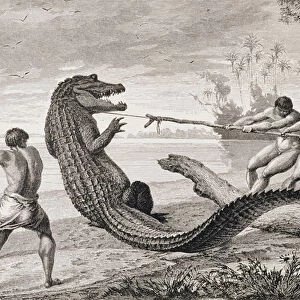 Catching an alligator with lasso, from The Amazon and Madeira Rivers, by Franz Keller