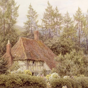 A Cottage near Haslemere (w / c on paper)