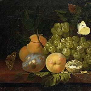 Fruit Study (oil on canvas)