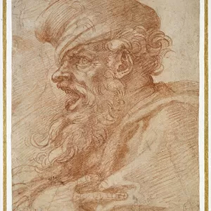 Head of a Bearded Man Shouting, c. 1525 (red chalk on paper)