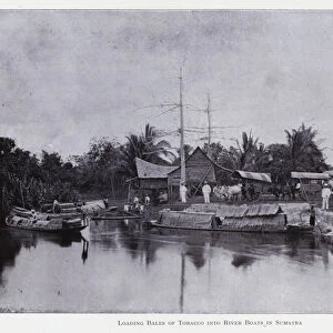 Loading bales of tobacco into river boats in Sumatra (b / w photo)