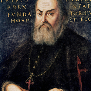 Portrait of Don Pedro Alvarez De Toledo, viceroy of Naples