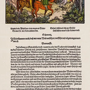 Scene from Petrarchs De remediis utriusque fortunae (colour litho)