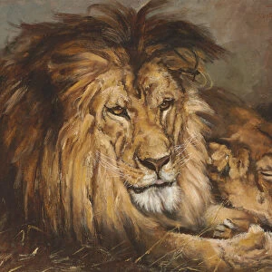 Sketch for Lion and Lioness Resting, 1899 (oil on paper, laid down on panel)