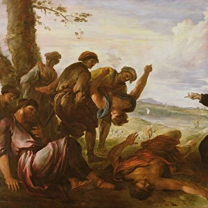 St Augustine helping the sick (oil on canvas)